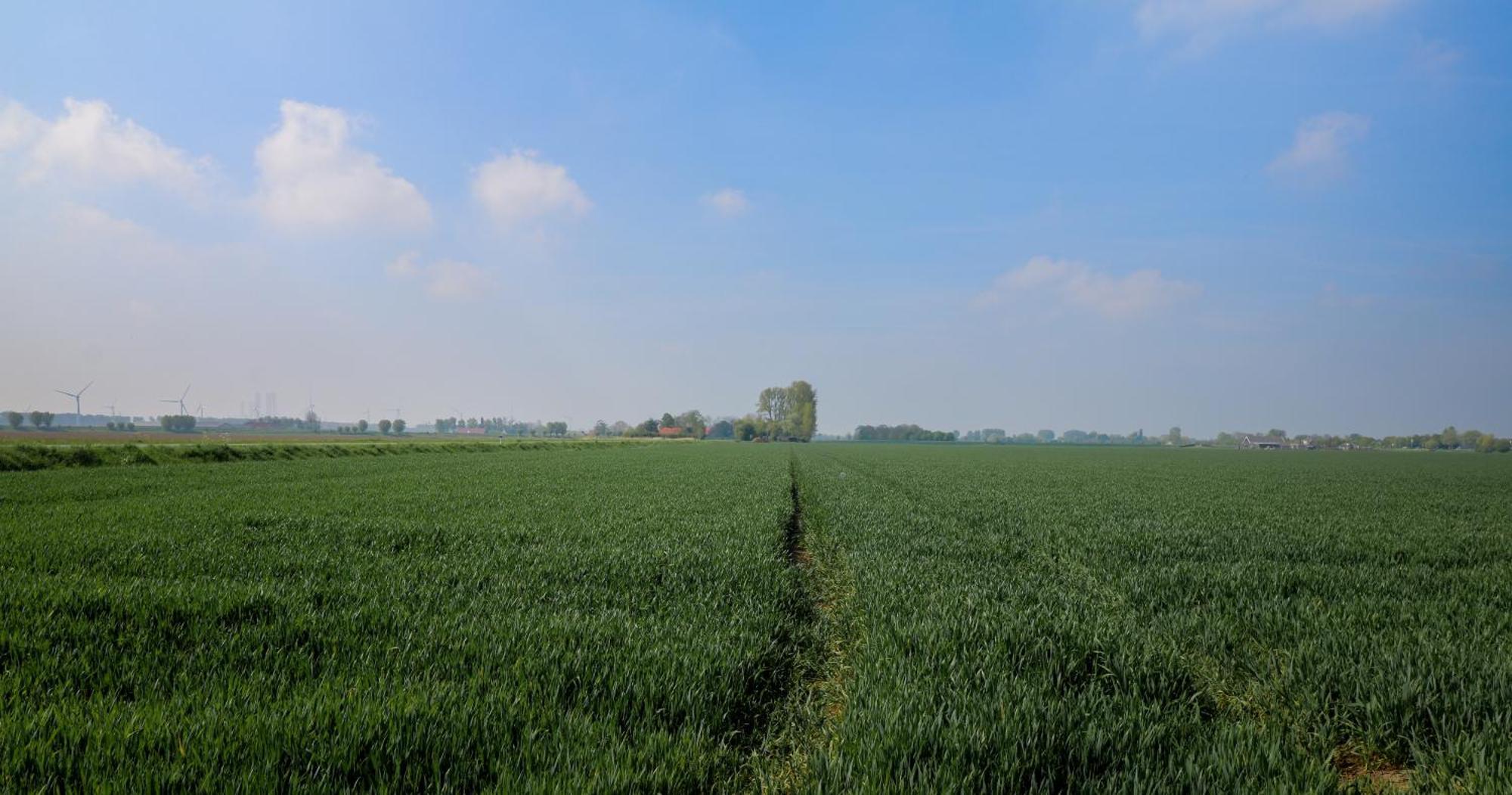Hof Nieuwerkerk Chalet 2 Arnemuiden Eksteriør billede